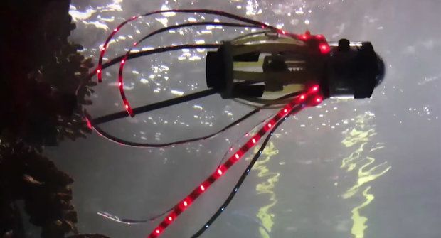 Plovoucí robot: Squidbot se chystá na průzkum korálových útesů