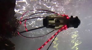 Plovoucí robot: Squidbot se chystá na průzkum korálových útesů  
