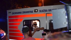 Čeští a slovenští turisté z autobusu, který havaroval v Srbsku.