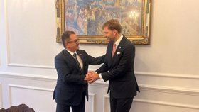 Ministr zdravotnictví Adam Vojtěch se setkal se srbským velvyslancem v Česku Berislavem Vekićem, se kterým jednal o spolupráci ve zdravotnictví, zejména v oblasti transplantací, onkologie a digitalizace zdravotnictví. (29. 10. 2026)