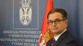 Srbský velvyslanec Berislav Vekić