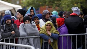 Migranti čekají na vstup do registračního tábora v Srbsku.