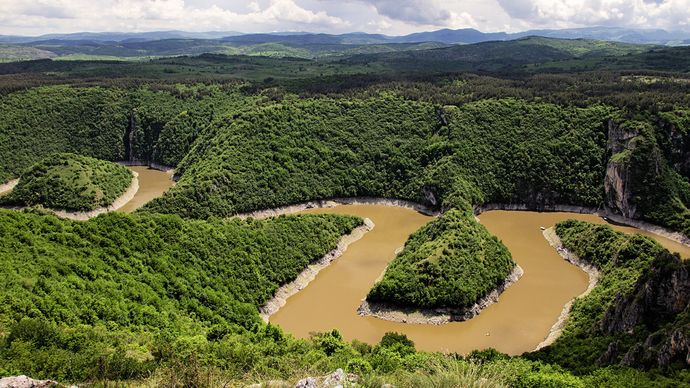 Řeka Uvac meandruje nádherným, 200–350 metrů hlubokým krasovým kaňonem, kde nad hlavami krouží supi bělohlaví