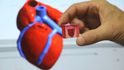 Vědci z Tel Avivu poprvé vytvořili srdce z 3D tiskárny s kompletním cévním systémem