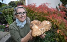 Paní Tonička (70) našla v lese srdce: Houbový pozdrav lásky!
