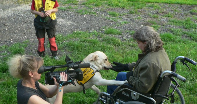Hana Kosová točila prezentaci pro organizaci Helppes, která zajišťuje výcvik psů pro zdravotně postižené lidi a kterou Blesk prezentoval v květnu 2016.