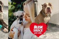 Bogotka (7) se otrávila jedem na krysy: Tihle hrdinové jí darovali novou krev!