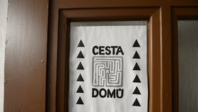 Organizace Cesta domů