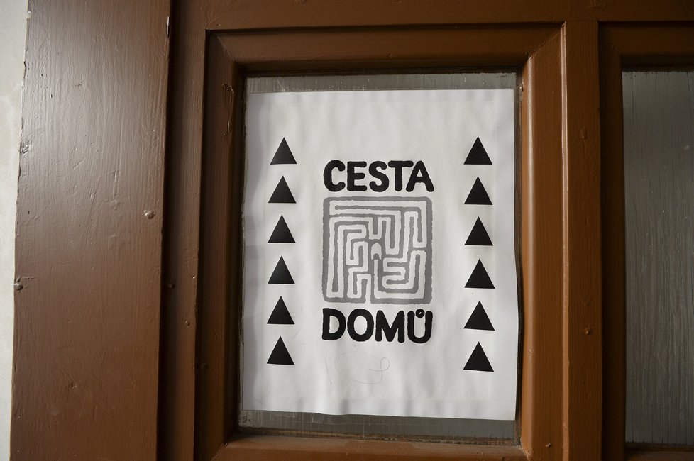 Organizace Cesta domů