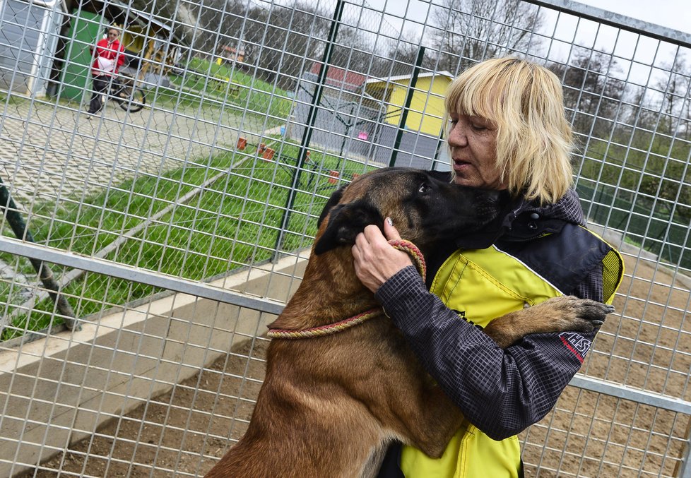 Zuzana Daušová cvičí psy v organizaci Helppes už patnáct let.