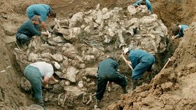 Odhalený masový hrob po masakru ve Srebrenici