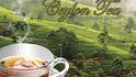Ceylonský čaj ze Šrí Lanky.
