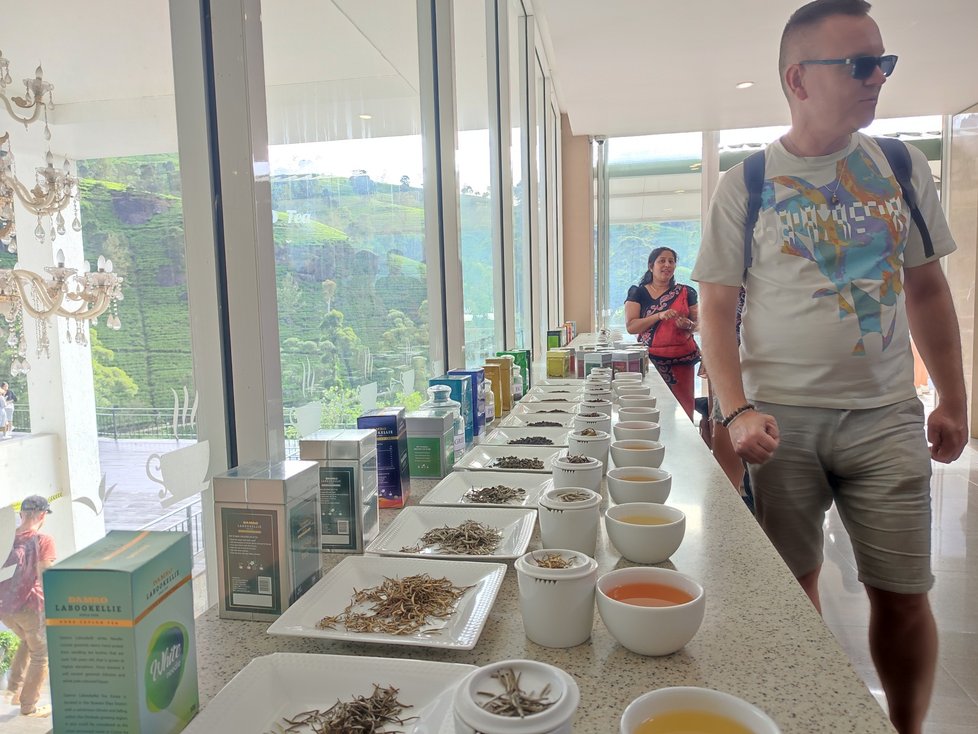 Výstavka různých druhů čaje v plantáži Damro