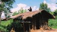 Antropologové nevědí, kdy přesně Veddové na ostrov přišli, ale potvrzují, že jsou jeho původními obyvateli. Obyvatelé Šrí Lanky jim říkají Vannijala-aetto (Lesní lidé).