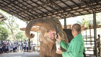 Zvířata na dosah ruky. Prohlédněte si, jak provozují zoologickou zahradu na Srí Lance