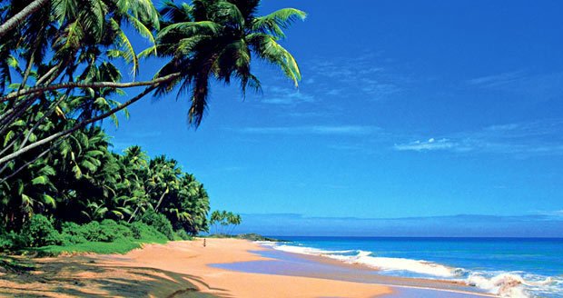 Užijte si svou dovolenou v tropickém ráji.