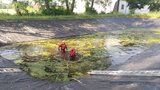 Boj o život němé tváře: Srnečka uvázla v nádrži s vodou ve Kbelích a nemohla ven