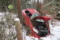 Řidička se lekla srny: Nechtěla ji srazit, tak nabourala auto a zranila sebe