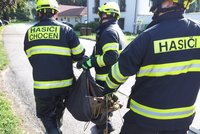 Srneček se v Chocni topil u náhonu: Zachránit ho museli hasiči