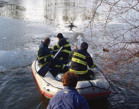 Pokus byl úspěšný – zesláblou srnu hasiči dopravili ke břehu