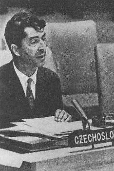 Jan Mužík, Rada bezpečnosti OSN