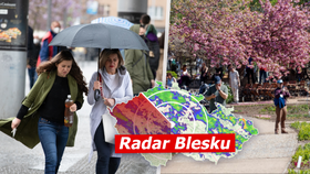 Meteorologické léto je tady: Víme, kdy je nejlepší vzít si dovolenou i kdy zaprší