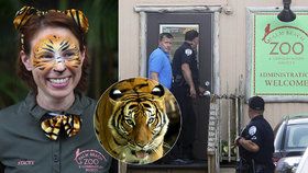 „Zaříkávačku tygrů“ napadl v zoologické zahradě tygr. Žena zemřela.