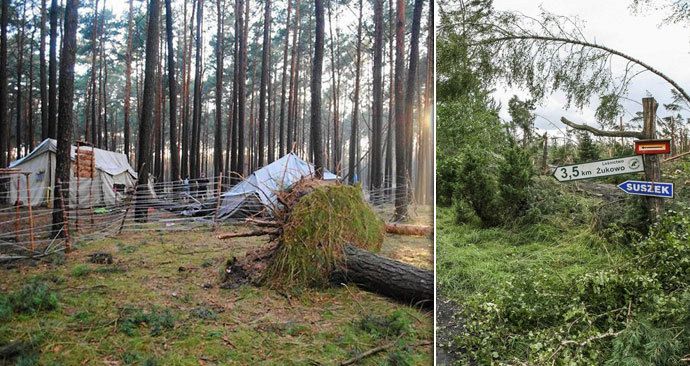 Bouře v Polsku porazila obří strom na tábor, dvě skautky zemřely.