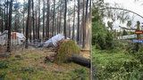 Tragédie na skautském táboře. Dvě spící dívky zabil ve stanu vichrem vyvrácený strom