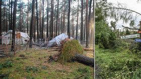 Bouře v Polsku porazila obří strom na tábor, dvě skautky zemřely.