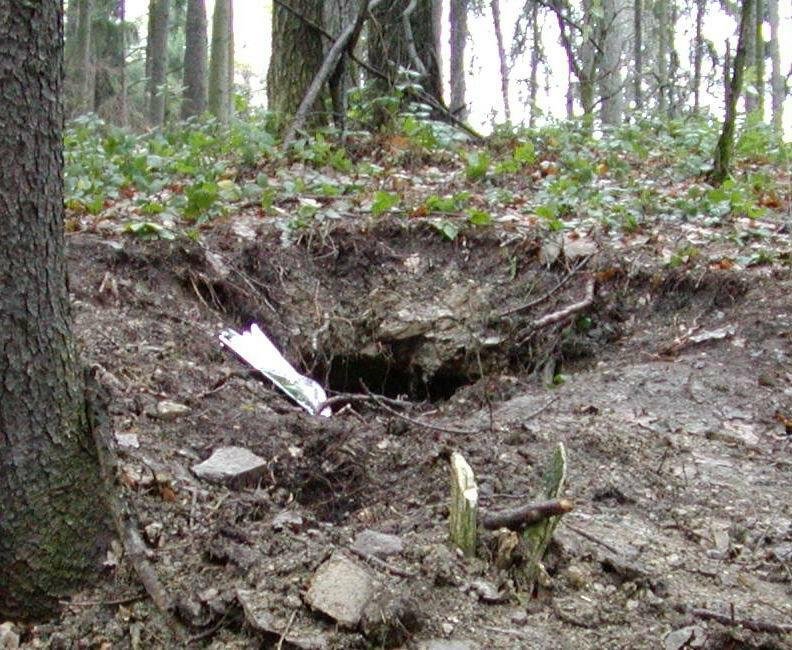 Tento mělký výkop v lese u Hrušové se stal hrobem zavražděného podnikatele Stanislava Brunclíka z Vysokého Mýta