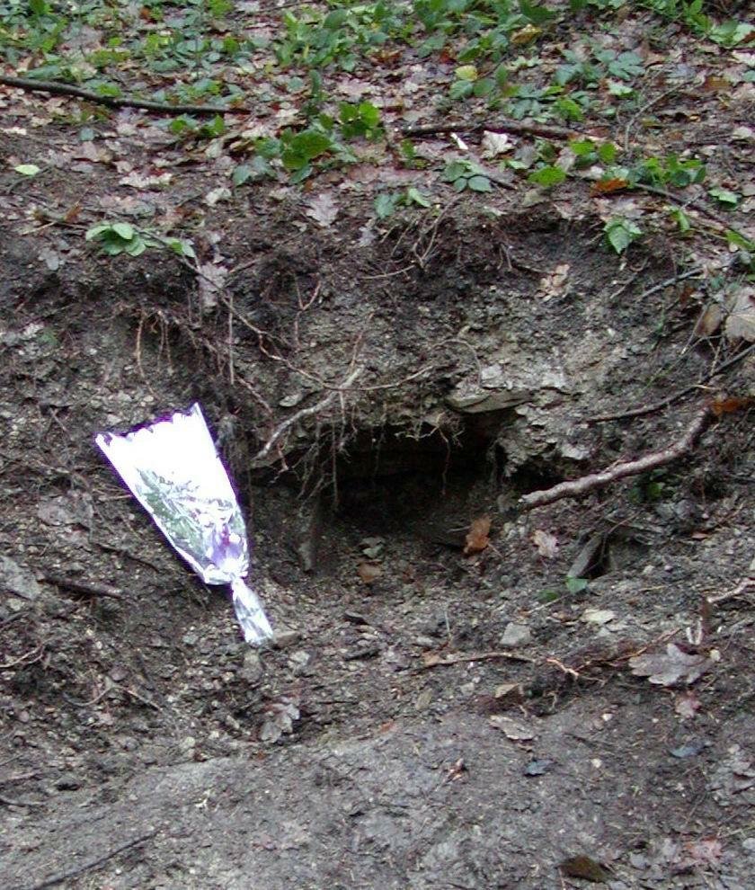 Tento mělký výkop v lese u Hrušové se stal hrobem zavražděného podnikatele Stanislava Brunclíka z Vysokého Mýta