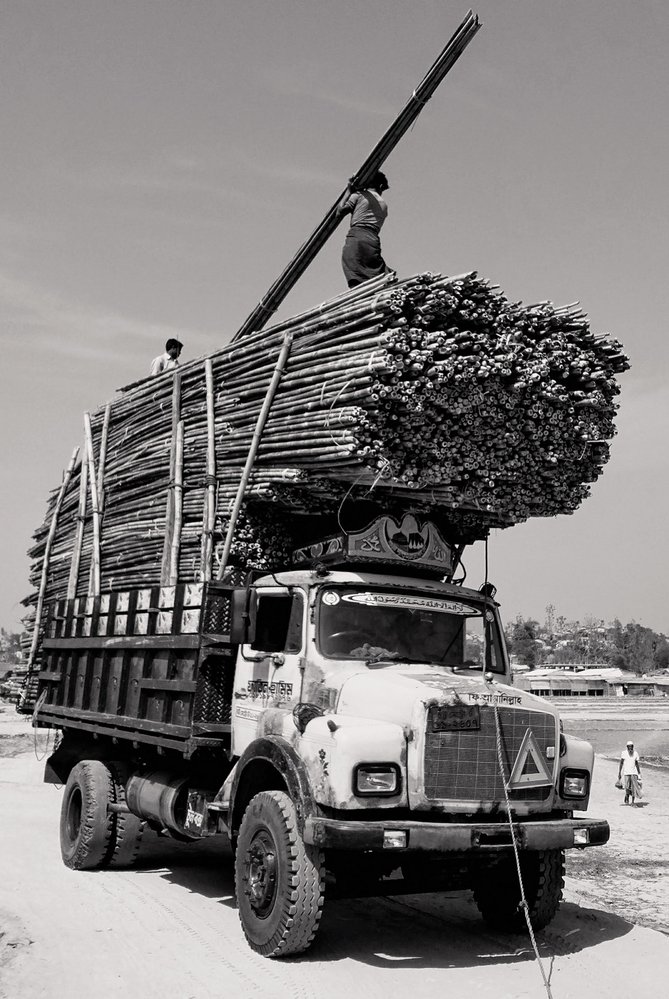 Součástí humanitární pomoci je také distribuce stavebního materiálu, v tomto případě bambusových tyčí
