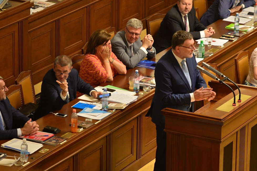 Jednání sněmovny o nedůvěře vládě Andreje Babiše se protáhla daleko za půlnoc. (26. 6. 2019)