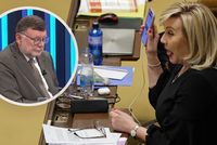 Hádka Stanjury a Schillerové o rozpočtu: Je to zlatý hřeb ODS! hřměla exministryně financí