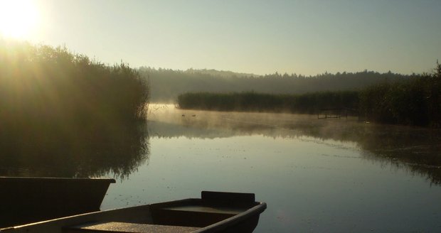 Staňkovský rybník: Prázdninová idylka. Průzračná voda hemžící se rybami a lesy plné hub.