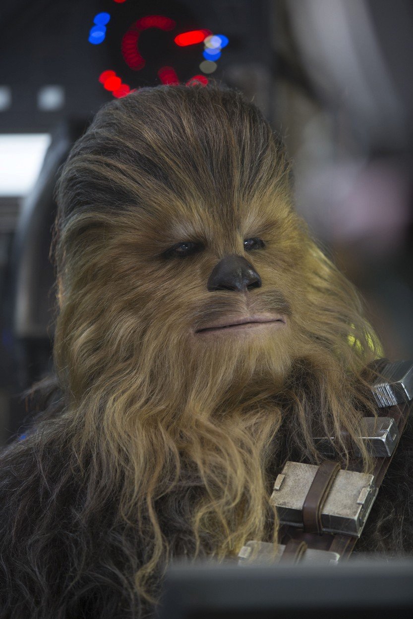 Chewbacca ve snímku Star Wars: Síla se probouzí