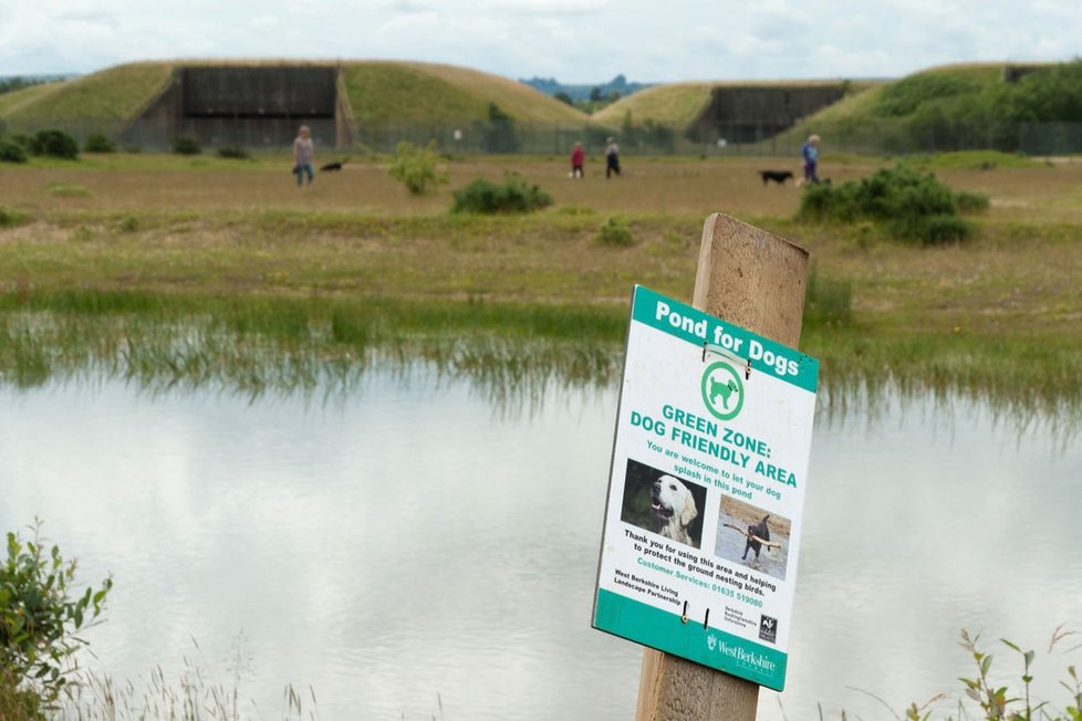 Vojenská oblast Greenham Common v Berkshiru v Anglii