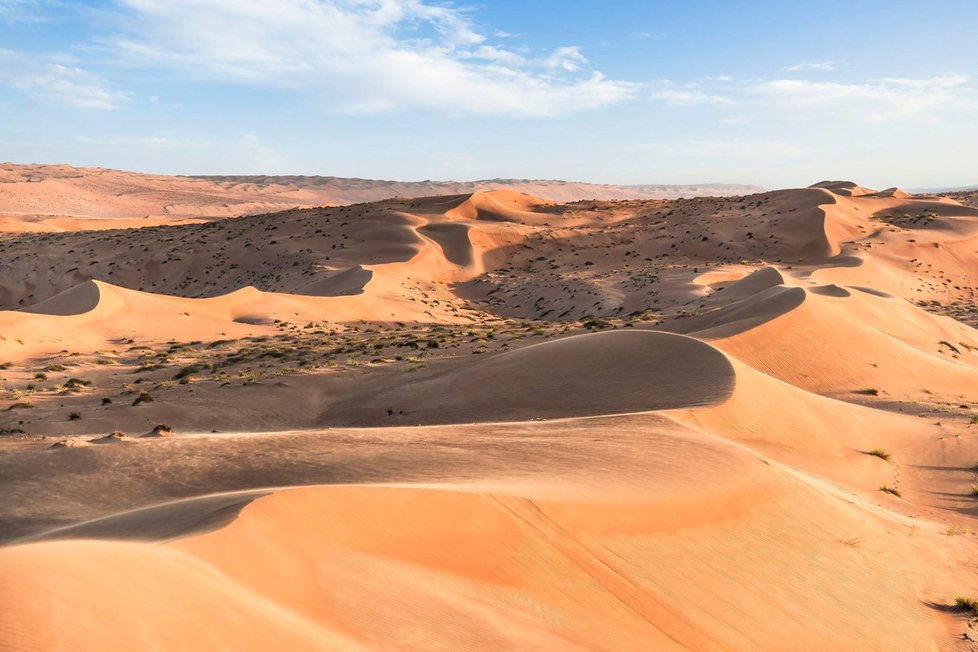 Zlatavá poušť ve Spojených arabských emirátech