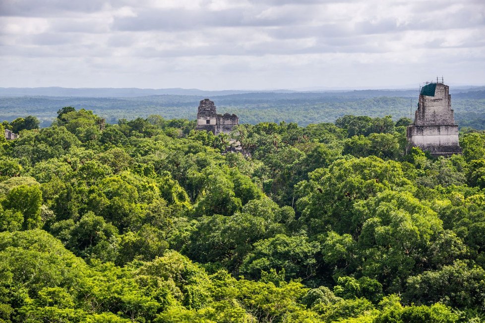 Pohled na park Tikal v Guatemale