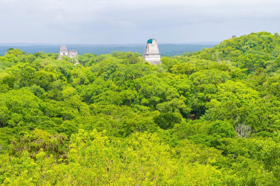 Národní park Tikal v Guatemale