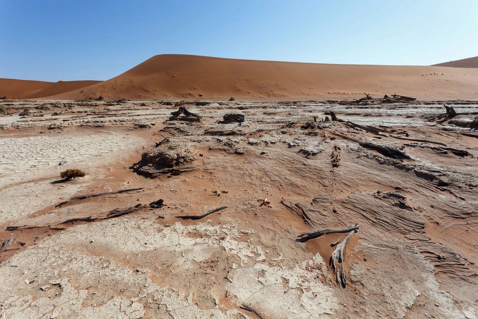 Deadvlei v Namibii