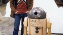 Unikátní fotografie odhalují zákulisí natáčení Star Wars. Unikátní fotografie odhalují zákulisí natáčení Star Wars.