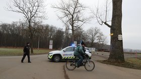 Policisté ve Staré Boleslavi pátrají po medvědovi.