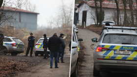 Policisté ve Staré Boleslavi pátrají po medvědovi.