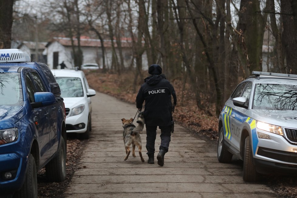 Policisté ve Staré Boleslavi pátrají po medvědovi.
