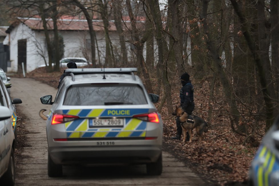 Policisté ve Staré Boleslavi pátrají po medvědovi.