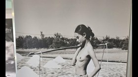 Snímky zde prezentuje i světově známý válečný fotograf a novinář Nick Ut (74).
