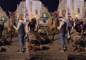 Huligan na dlažbě Staroměstského náměstí. Podle provozovatele atrakce kůň jednoduše zakopl