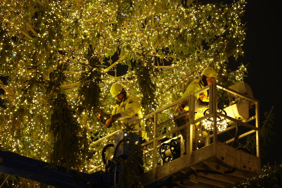 Zdobení vánočního stromu na Staroměstskémnáměstí. (29. listopad 2023)